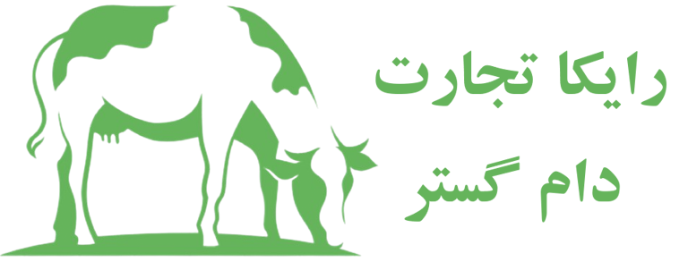 لوگو شرکت رایکا تجارت دام گستر